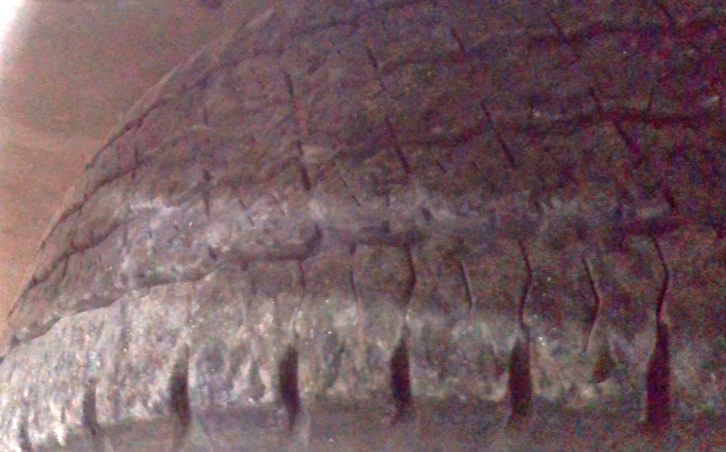 2012 10' Box Truck for Sale in Harrisburg, PA 17112 UHaul Truck Sales